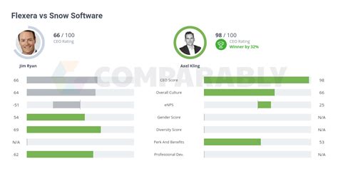 snow software competitors|Snow Competitors and Alternatives